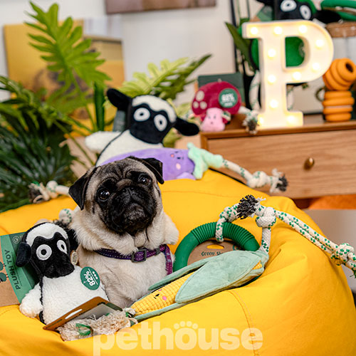 Green Sheep Rope Toy L Іграшка "Вівця" з мотузкою для собак