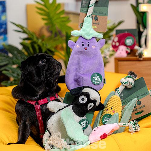 Green Sheep Stuffing Free L Игрушка "Баклажан" для собак