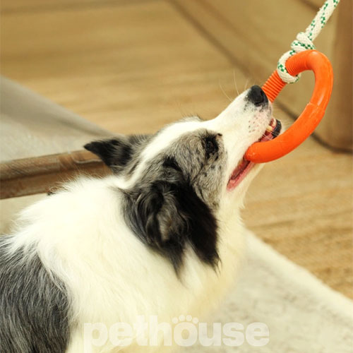 Green Sheep Natural Rubber Hoop Rope M Резиновое кольцо с веревкой для собак, 15,5 см