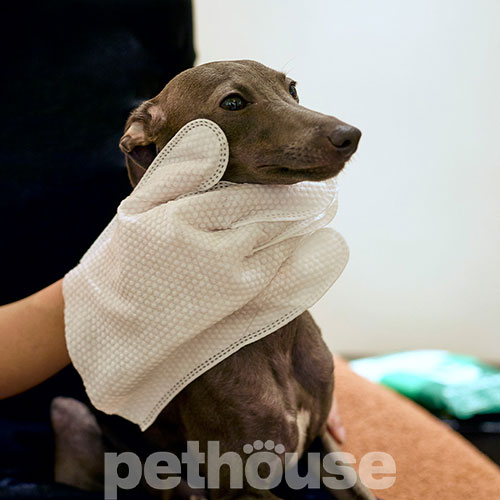 Green Sheep Plant-Based Pet Glove Wipes Вологі серветки-рукавички для домашніх тварин Green Sheep Plant-Based Pet Glove Wipes Вологі серветки-рукавички для домашніх тварин