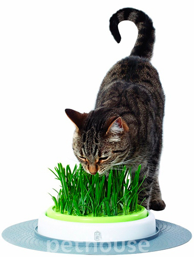 Hagen Catit Senses Набор для выращивания травы для кошек
