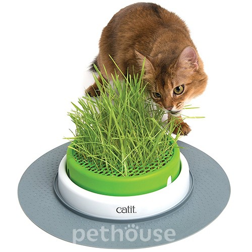 Hagen Catit Senses Набір для вирощування трави для котів, фото 2