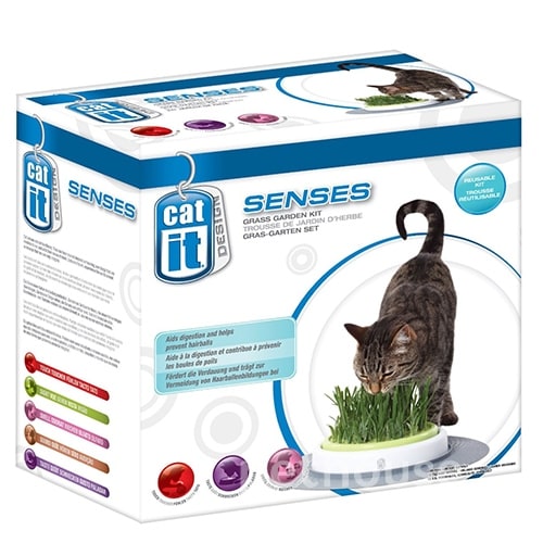 Hagen Catit Senses Набор для выращивания травы для кошек, фото 4