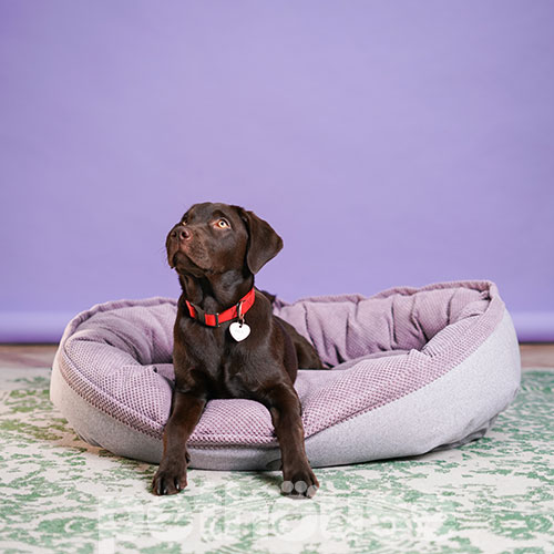 Harley and Cho Овальний лежак для собак Donut Pink, фото 9