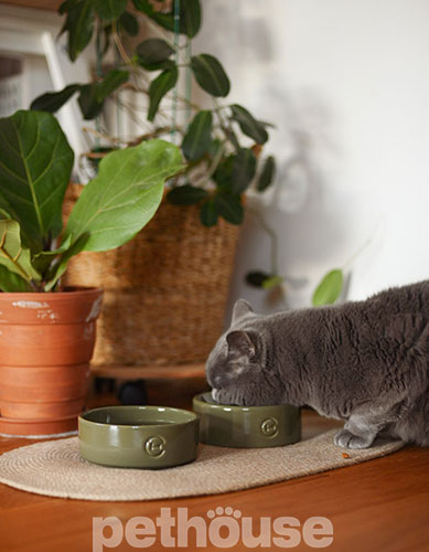 Harley and Cho Керамічна миска Olive Sphere Bowl