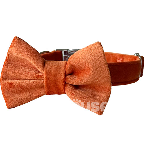 Harley and Cho Нашийник-метелик для собак і котів Orange