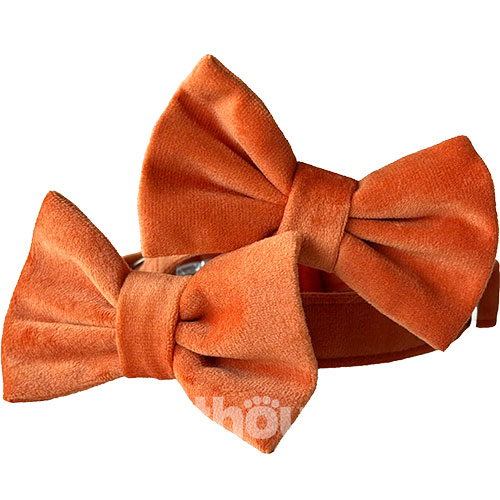 Harley and Cho Нашийник-метелик для собак і котів Orange