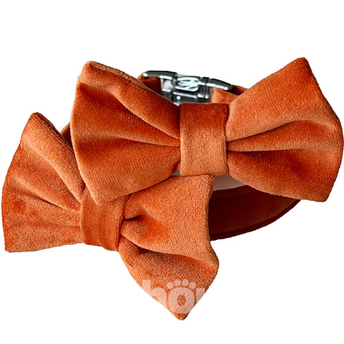 Harley and Cho Нашийник-метелик для собак і котів Orange
