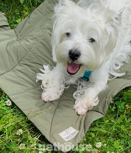 Harley and Cho Ультралегкий килимок для собак Pocket Mat Khaki
