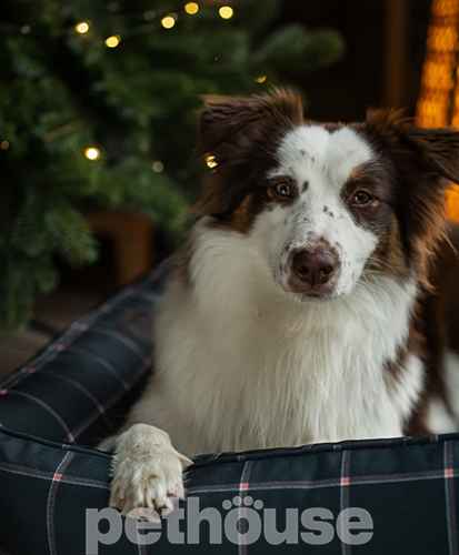 Harley and Cho Мягкий лежак с бортами Waterproof Scotch