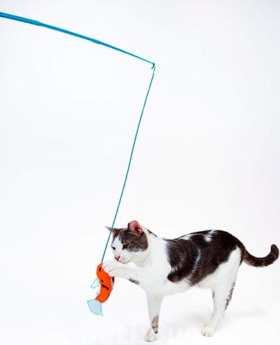 Hartz Cattraction Koi Dangler Рыбка на присоске с кошачьей мятой и серебряной лозой для кошек, фото 3