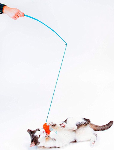 Hartz Cattraction Koi Dangler Cat Toy Рибка на присоску з котячою м'ятою та срібною лозою для котів, фото 4