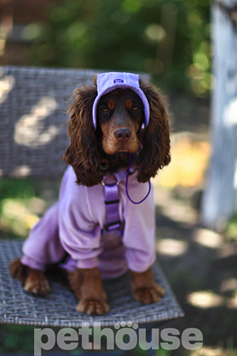 Hat-Dog Панама з вельвету для собак, лавандова