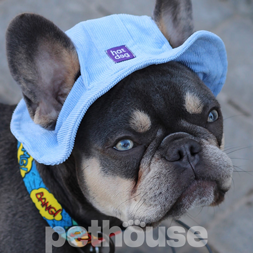 Hat-Dog Панама из вельвета для собак, голубая