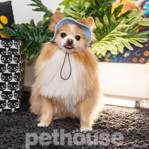 Hat-Dog Панама из вельвета для собак, голубая