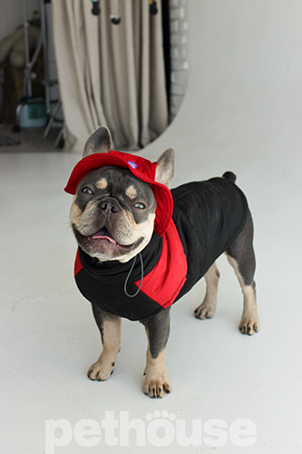 Hat-Dog Панама з вельвету для собак, червона