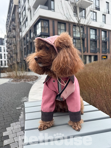 Hat-Dog Панама из вельвета для собак, пудровая