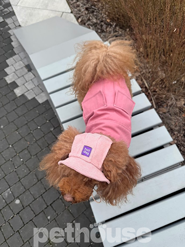 Hat-Dog Панама из вельвета для собак, пудровая
