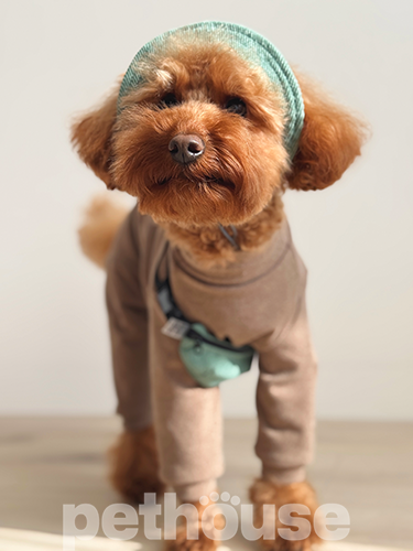 Hat-Dog Панама из вельвета для собак, оливковая