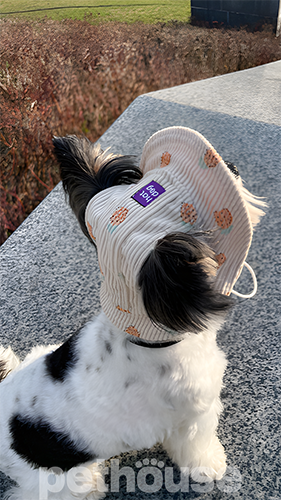 Hat-Dog Панама з вельвету для собак, ананаси