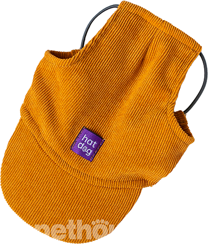 Hat-Dog Кепка з вельвету для собак, гірчична