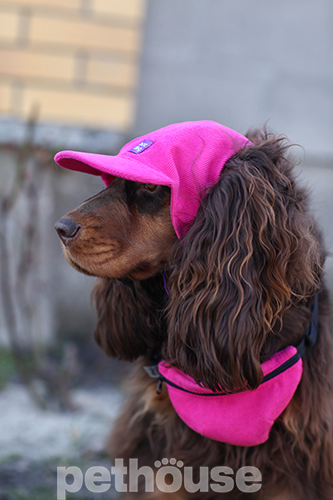 Hat-Dog Кепка з вельвету для собак, малинова