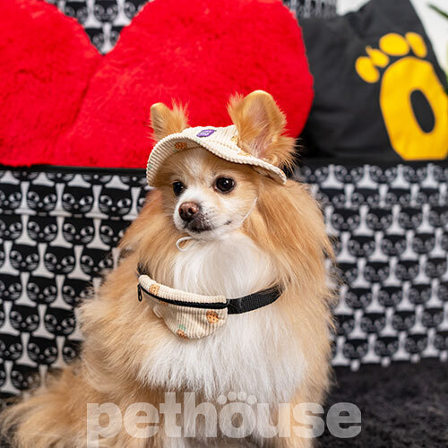 Hat-Dog Кепка з вельвету для собак, ананаси