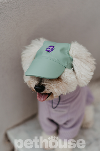 Hat-Dog Кепка з еко-шкіри для собак, ментолова