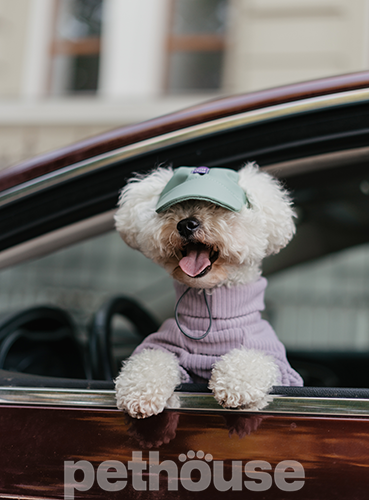 Hat-Dog Кепка з еко-шкіри для собак, ментолова