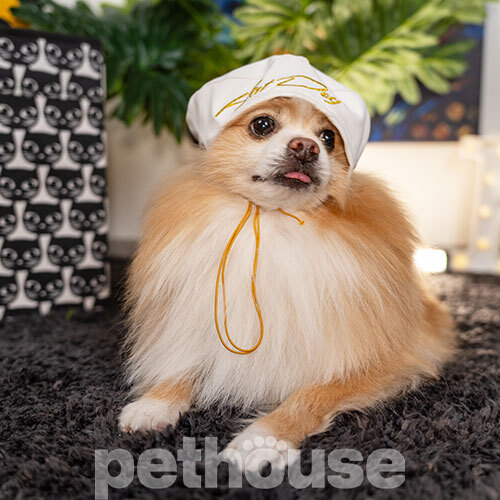 Hat-Dog Берет з еко-шкіри для собак, білий