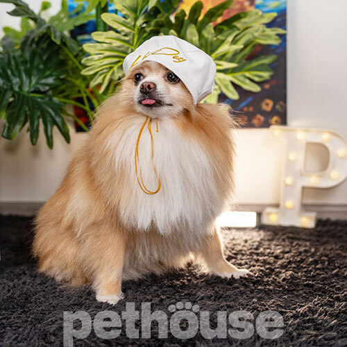 Hat-Dog Берет з еко-шкіри для собак, білий