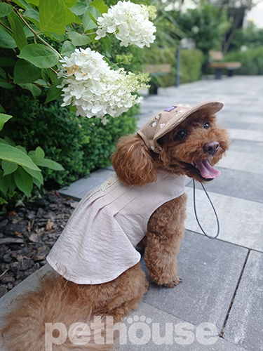 Hat-Dog Кепка из льна для собак, бежевая в цветочек