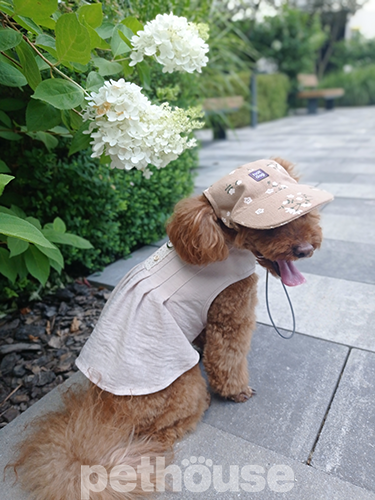 Hat-Dog Кепка из льна для собак, бежевая в цветочек