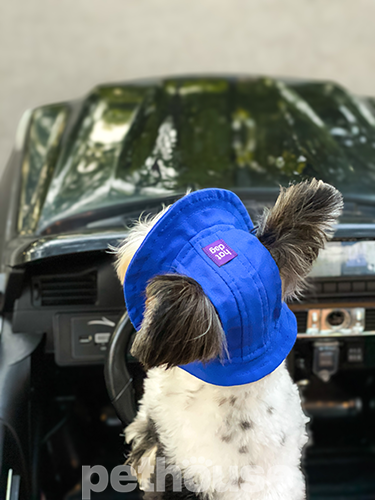 Hat-Dog Панама з бавовни для собак, синя