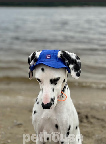 Hat-Dog Панама з бавовни для собак, синя