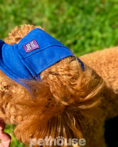 Hat-Dog Панама з бавовни для собак, синя
