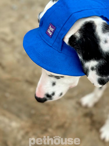 Hat-Dog Панама з бавовни для собак, синя