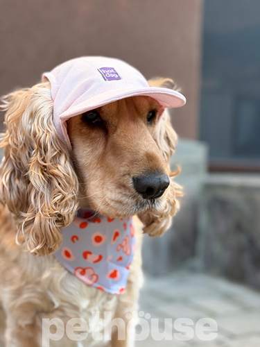 Hat-Dog Кепка з льону для собак, рожева
