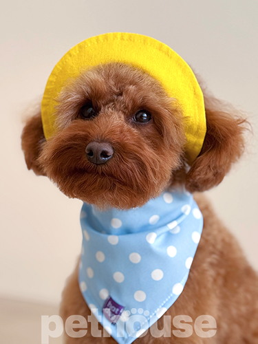 Hat-Dog Панама з льону для собак, жовта