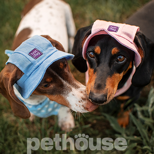 Hat-Dog Панама з льону для собак, ніжно-блакитна