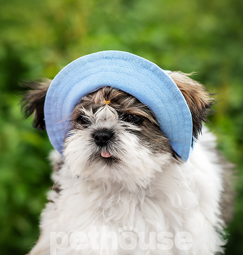 Hat-Dog Панама з льону для собак, ніжно-блакитна