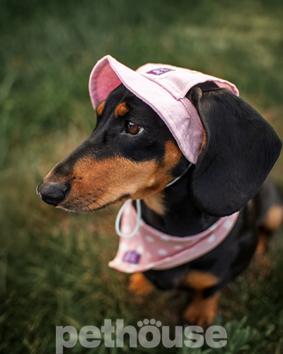 Hat-Dog Панама з льону для собак, рожева