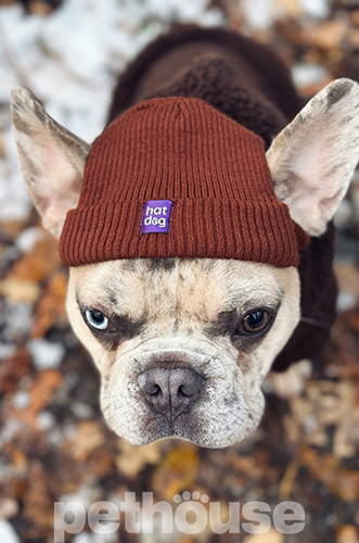 Hat-Dog Шапка для собак, коричневая