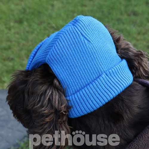 Hat-Dog Шапка для собак, синяя
