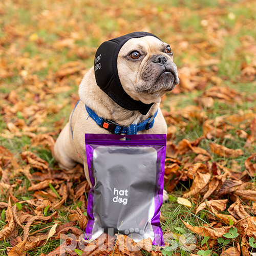 Hat-Dog Шлем звукоизолирующий для собак Hat-Dog Шлем звукоизолирующий для собак
