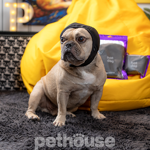 Hat-Dog Шлем звукоизолирующий для собак Hat-Dog Шлем звукоизолирующий для собак