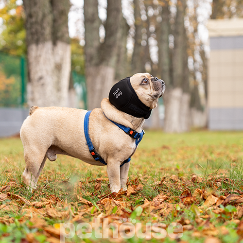 Hat-Dog Шлем звукоизолирующий для собак Hat-Dog Шлем звукоизолирующий для собак