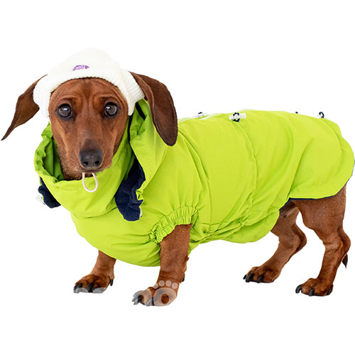 Hat-Dog Boy Ветровка для такс, неон