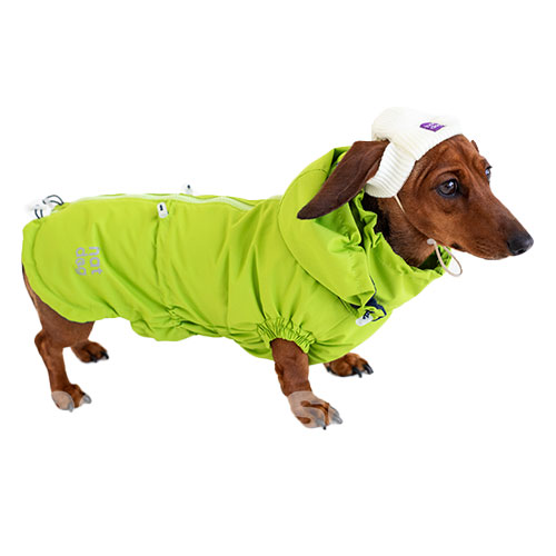 Hat-Dog Boy Ветровка для такс, неон