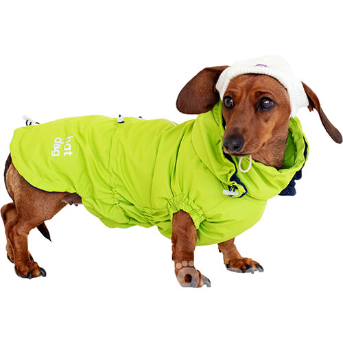 Hat-Dog Girl Ветровка для такс, неон